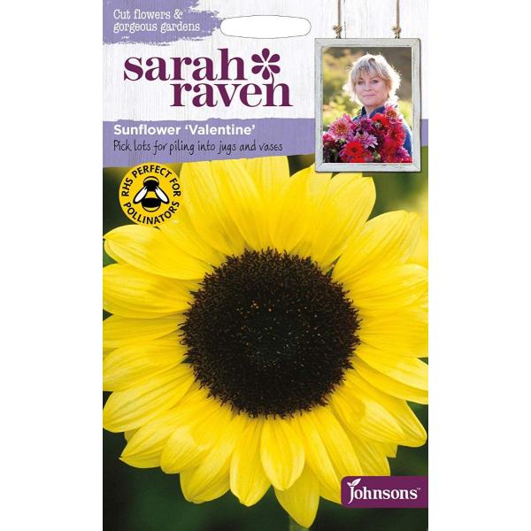 yqzJohnsons Seeds Sarah Raven Cut flowers &amp; gorgeous gardens Sunflower Valentine TECu Tt[ @^C