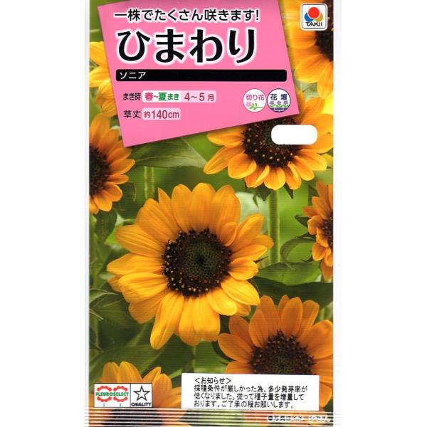 花種子 ひまわり ソニア タキイ種苗のタネ : Gardener s Shop Ivy
