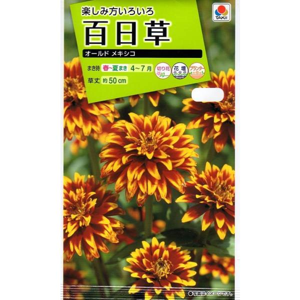 ジニア 苗 種の人気商品 通販 価格比較 価格 Com