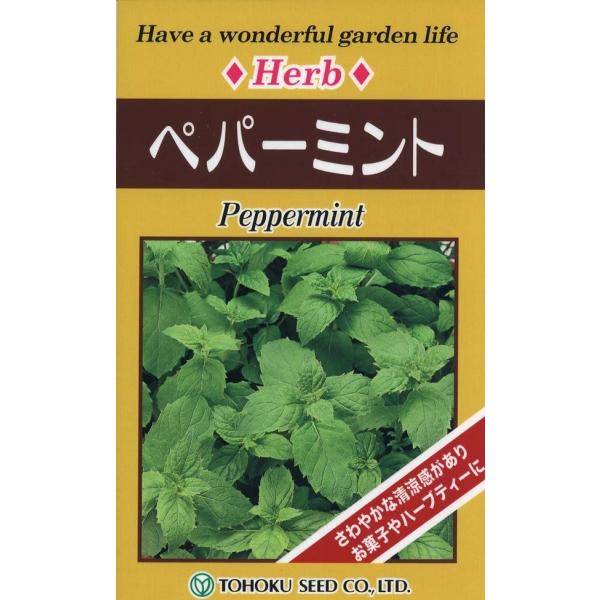 さわやかな香りとクールな清涼感でおなじみのハーブです。丈夫で栽培しやすく、ミントティー、サラダ、お菓子などさまざまに利用できます。