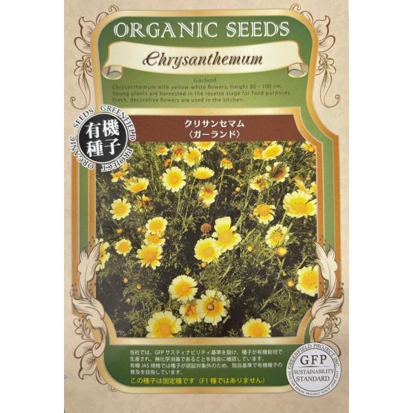 期限切れ（2026年5月）間近のため売り尽くしセール！クリーム色の花を咲かせるエディブルフラワーで背丈は80〜100cm程度です。エディブルフラワーとしてサラダなどの彩りに最適です。切り花にもできます。