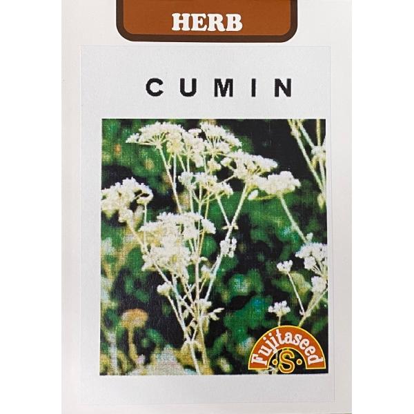 セリ科の一年草で、水はけと日当たりの良い肥沃な土地を好みます。移植を嫌います。カレーパウダーやチリパウダーに使用する種子の収穫は枯れ始めてから行います。この種子だけでもかなりカレーの香りがします。料理に使うときはパウダーにして他のスパイスと...