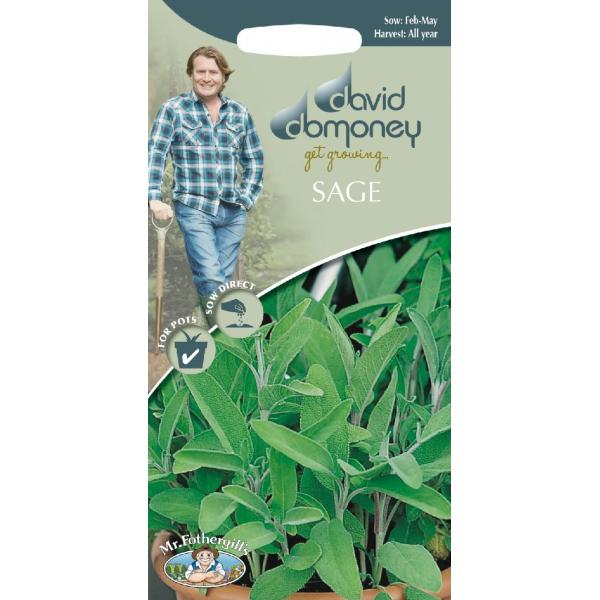 耐病性があり、非常にやりがいのあるハーブで、ちょうどよい大きさの1株があれば、一般家庭の台所で長年にわたって必要なものをすべてまかなうことができる。初夏には、色鮮やかで蜜の豊富な花が咲き乱れ、ミツバチにとっても重要な植物です。常緑樹なので、...