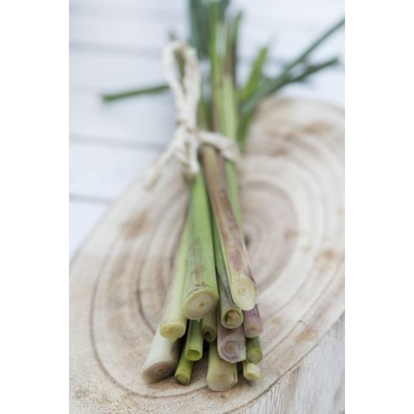 東洋料理によく使われるレモンのような爽やかな風味の熱帯のハーブです。Much used in oriental cooking, rubbed seeds for packet trade