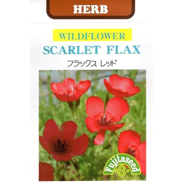 アマ科の一年草です。亜麻、リナム、リンシードとも呼ばれます。細く丈夫な茎はリネンの材料として、種子からは亜麻仁油（リンシードオイル）が採れ、食用や塗料・油彩に用いられます。可憐な花は観賞用として花壇にも向きます。