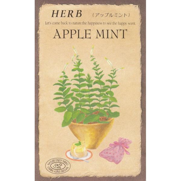 こころよい香りに酔いしれ、かわいい花を観賞し、ハーブティーや料理に利用して、味わいも楽しめるハーブ・・・・・・。あなたの手で育ててください。茎・葉全体にあま〜い、ほのかなリンゴの香り、ミント類の中でも格別な芳香があります。小さくてかわいい小...