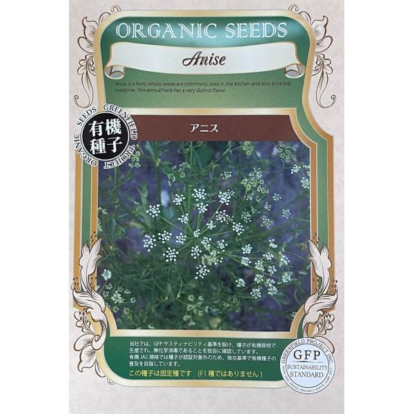 期限切れ（2026年5月）間近のため売り尽くしセール！初夏から夏にかけて、かわいい白い小花をたくさんつける、草丈50cm前後に育つエディブルフラワーです。