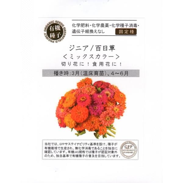 色のバランスの良いジニアミックスです。二重、半二重の花をたくさんつけ、長い間楽しめます。切り花や花壇にぴったりです。エディブルフラワーとしてケーキやサラダに飾ってもきれいです。