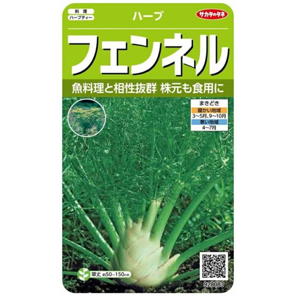 株元が肥大するフローレンスフェンネルです。「魚のハーブ」と呼ばれ魚介類を使った料理との相性がよく世界中で利用させています。葉は風味づけ、肥大した株元はサラダタネは薬味・ハーブティー・菓子に利用できます。
