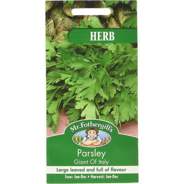 大きくフラットなリーブスで一番最高のフレイバー。 ガーデン・エッジのデコレーションとしてポット栽培でも良い。