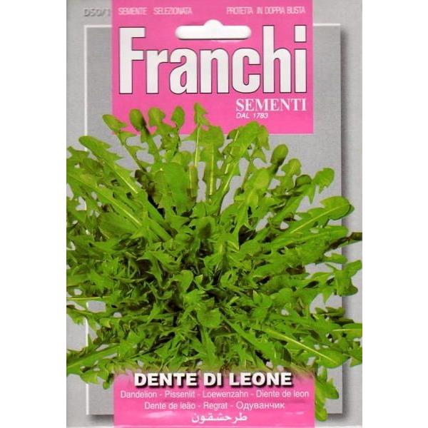 種子 Franchi Sementi Dente Di Leone ダンデライオン 食用たんぽぽ フランチ社 Buyee Buyee Japanese Proxy Service Buy From Japan Bot Online