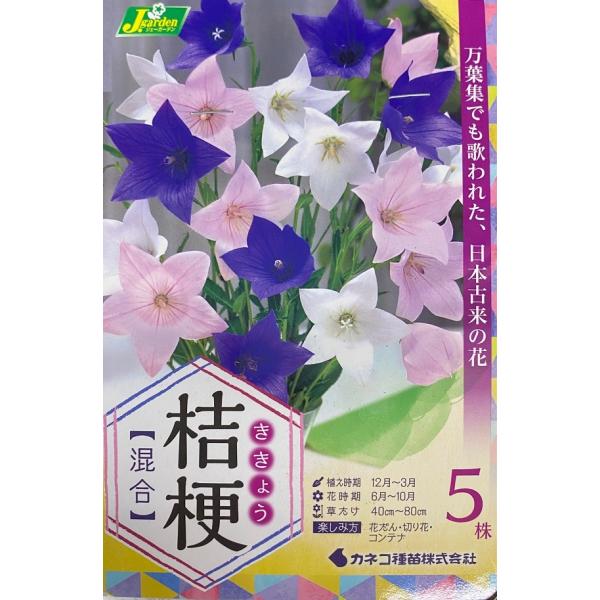 gardeningivy_kyuukon-0089