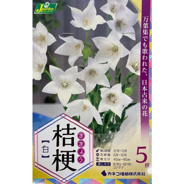 秋の七草として、主に生け花などの観賞用として利用されてきました。そんな中でもキキョウは最も人気があり古くから愛されています。日本で自生している花であるため、温度に対する適応性は広く、全国どこでも栽培が容易です。清涼感があるので、生け花やフラ...