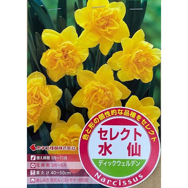 yԋzZNg fBbNEFf 2 JlRc̋