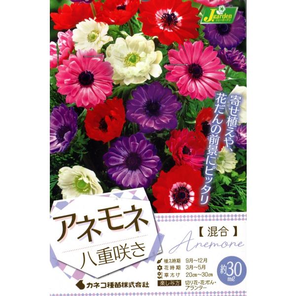 アネモネ 種 球根の人気商品 通販 価格比較 価格 Com