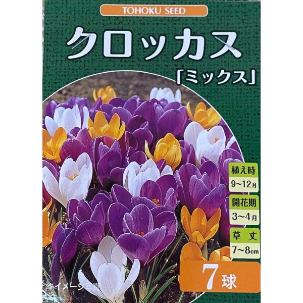 花球根 クロッカス ミックス 7球入 トーホクの球根