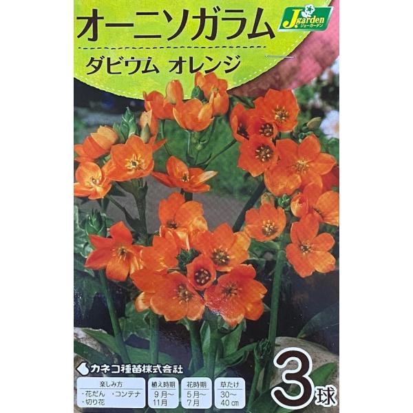 yԋzI[j\K _rE IW 3 JlRc̋