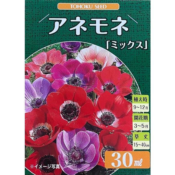 yԋzAll ~bNX 30ml g[zN̋