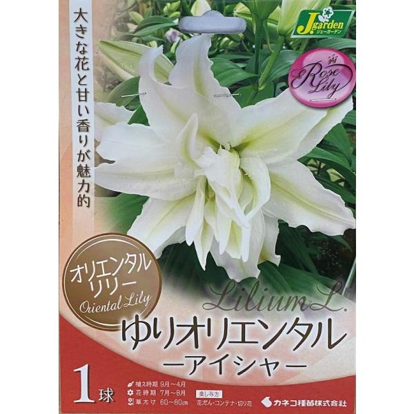 豪華なオリエンタル系の八重咲き品種。おしべが変化して花びらになっているので花粉が無く、花が汚れません。寒さに強く栽培は簡単ですが、暑さに弱いので、西陽を避け、半日陰で排水の良い場所が適します。