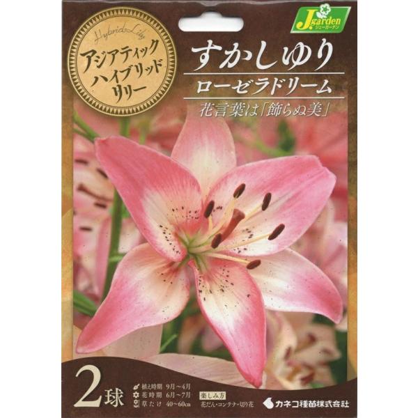 鉄砲ゆりとアジアティック系のゆりとの交配品種で、香りはなく上向きに咲きます。アジアティック系のゆりより丈夫で花もちが良く、光沢のある美しい花弁と育てやすさが特徴で、切り花として人気の高い品種です。ゆりは寒さに強く栽培は簡単ですが、暑さに弱い...