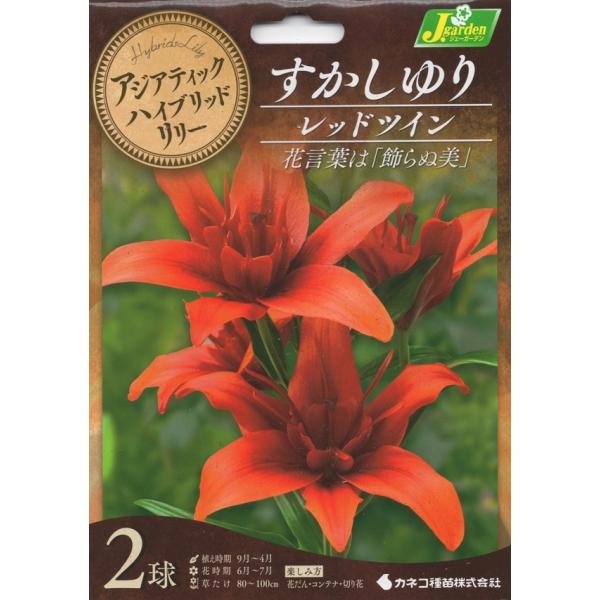 アジアティック系の変り咲き品種です。おしべが花びらのように変化した不思議な印象の花を咲かせます。ゆりは寒さに強く栽培は簡単ですが、暑さに弱いので西日を避け、半日陰で排水の良い場所が適します。