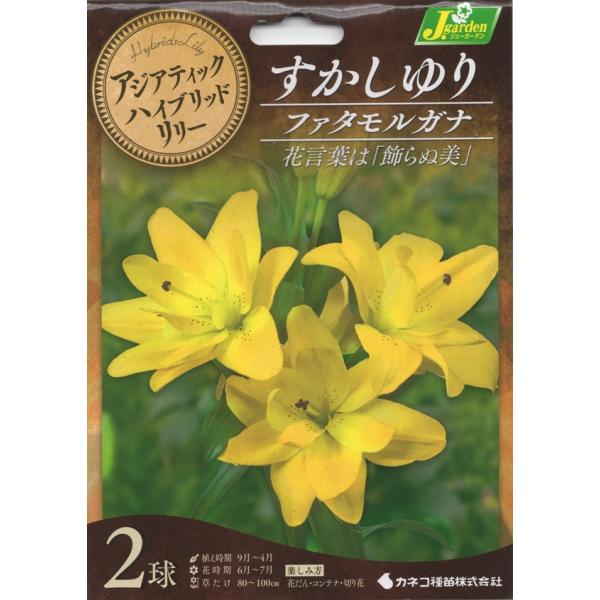 アジアティック系の変り咲き品種です。おしべが花びらのように変化した不思議な印象の花を咲かせます。ゆりは寒さに強く栽培は簡単ですが、暑さに弱いので西日を避け、半日陰で排水の良い場所が適します。