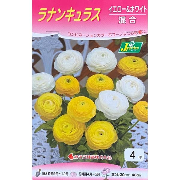 ラナンキュラス 苗 球根の人気商品 通販 価格比較 価格 Com
