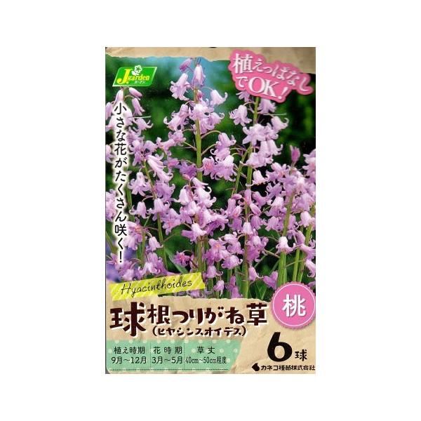 ԋ 肪ˑ (qVXICfX)  6 JlRc̋