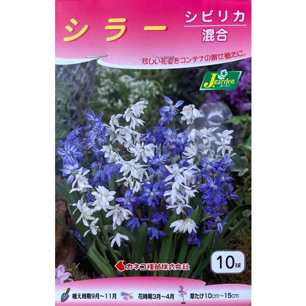 yԋzV[ VrJ  10 JlRc̋