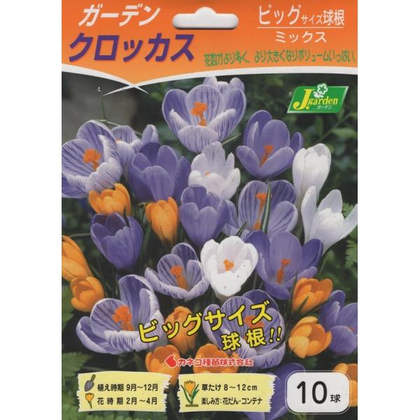 球根 クロッカスの人気商品・通販・価格比較 - 価格.com 球根 クロッカスの人気商品・通販・価格比較 - 価格.com