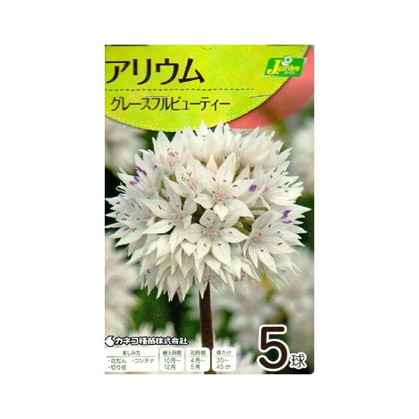 花球根 アリウム グレースフルビューティー 5球入 Buyee Buyee 日本の通販商品 オークションの代理入札 代理購入