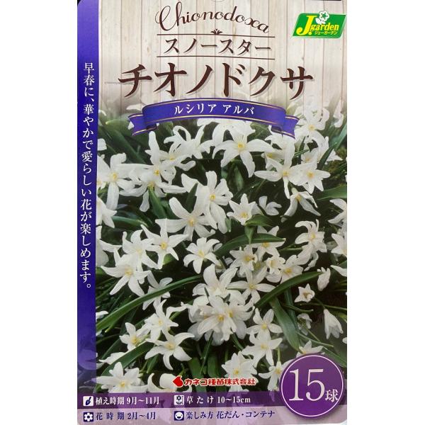 yԋzXm[X^[ `ImhNT VA Ao 15 JlRc̋