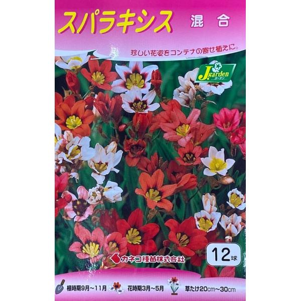 yԋzXpLVX  12 JlRc̋