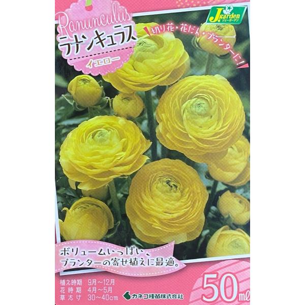 ԋ iLX CG[ 50ml JlRc̋