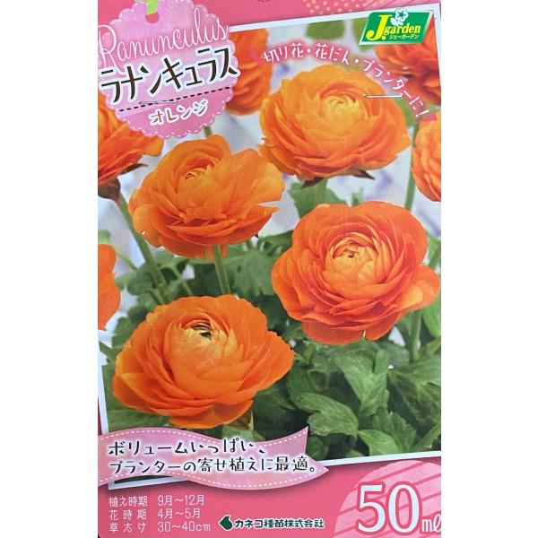 yԋziLX IW 50ml JlRc̋