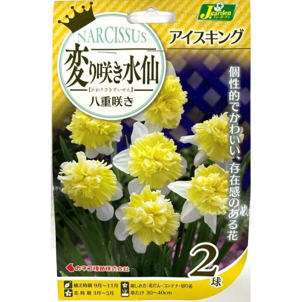 花球根】変り咲き水仙 八重咲き アイスキング 2球入 カネコ種苗の球根