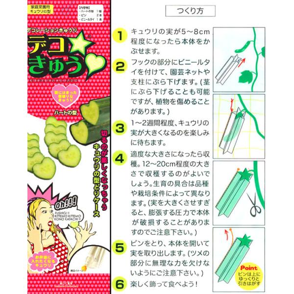 fR[Vイ fRイ n[g^1{