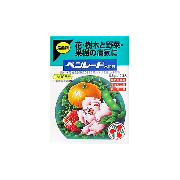 yEۍ܁zx[ga 0.5g×10ܓ