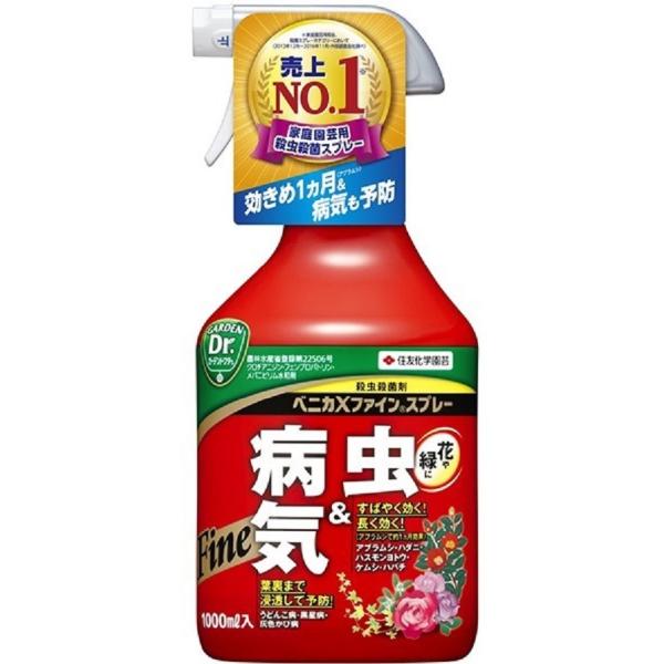 yEEۍ܁z xjJwt@CXv[ 1000ml