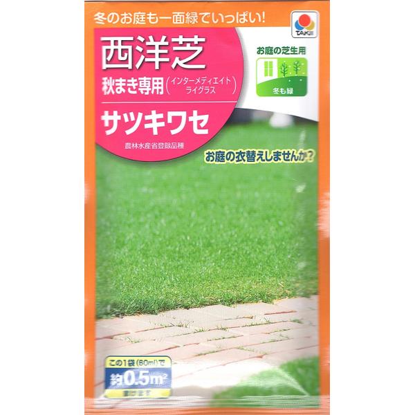 芝種子 秋まき専用西洋芝 インターメディエイトライグラス サツキワセ 農林水産省登録品種(品種番号：16166) 0.5平方メートル分 60ml タキイ種苗のタネ