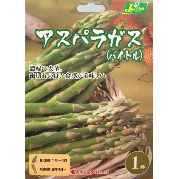 gardeningivy_yasaikyuukon-0436