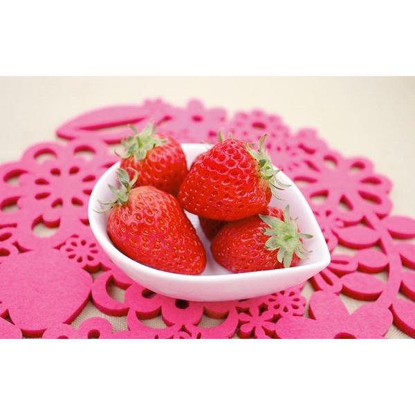 パティシエも納得の 「上質な」甘さで、糖酸バランスが良く、 食味の安定性に優れています。安定した花成で春〜秋までたくさん収穫できる、おいしい四季なりイチゴです。うどんこ病にも比較的強く、 高温期でも花が続き育てやすい品種です。