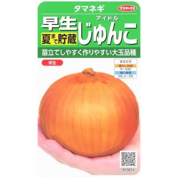 yqzʂ˂  Ă܂Œ ACh TJ^̃^l