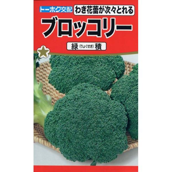 病気に強く作りやすく、中心の花蕾を収穫した後、比較的大きなわき花蕾が次々収穫できるタイプ。熟期は中早生で花蕾は緑が濃く、中粒でしっかりしています。