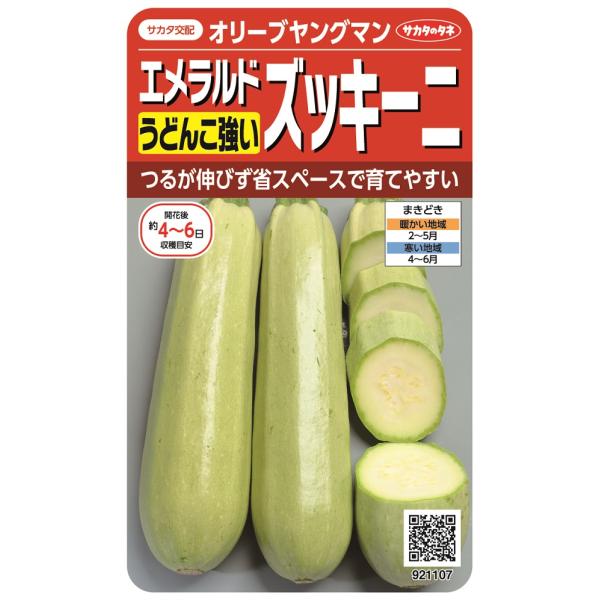 つるが伸びないので場所をとらず、うどんこ病に強く、強健でつくりやすい品種です。果実は淡緑色の円筒形、連続して収穫できます。天ぷら・煮物・油いためのほか、ラタトゥーユなどに利用できます。