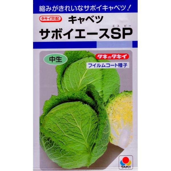 yqzLxc T{CG[XSP ^LCc̃^l