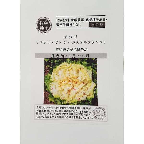 半結球のチコリで、赤い斑点が色鮮やかなチコリです。淡い緑色の葉ですが、軟白処理して葉をさらに白っぽくすると、とてもきれいな野菜に仕上がります。サラダに使用すると、独特の風味で色あいも美しく、高級感あるサラダに仕上がります。固定種です　(F1...