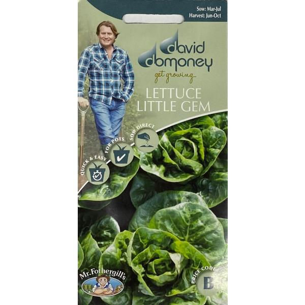 甘く柔らかな葉を持つ、小さくまとまった頭を持つ。ビタミンCとビタミンAを豊富に含む。Small tightly packed heads of sweet, tender leaves.A good source of vitamin C ...