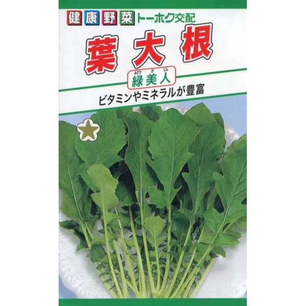 生育が早く、茎葉に細かい毛がほとんどない、そろいの良い品種です。ビタミンやミネラルが豊富で、特に鉄分が多く含まれています。