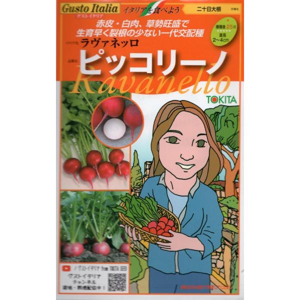 根色は光沢のある鮮やかな濃赤色で色むらが少なく、内部色は白。根形は丸形、直径2〜4cmです。直根は細く、非常によく揃い、他品種と比較して草姿旺盛で生育は早いが裂根も少なく、大型に仕立てても比較的ス入りが遅く、ボリュームのある収穫物をお楽しみ...